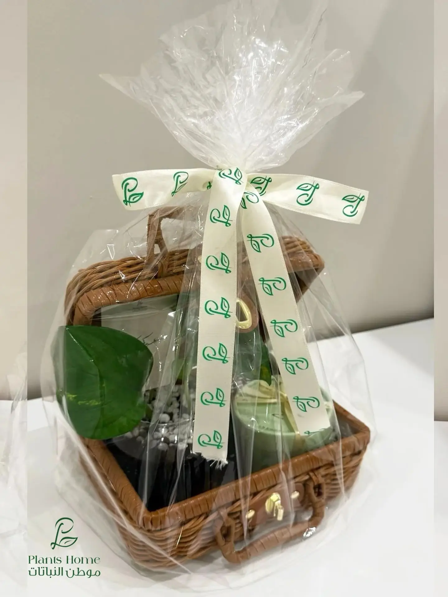 Elegant Tote Basket With Pothos & Anosh Chocolate