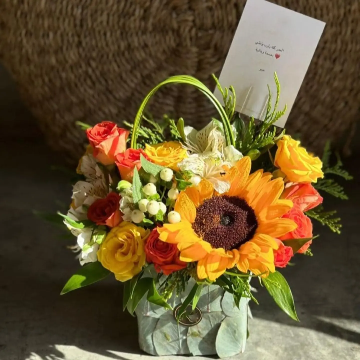 فازة رِقّة وشمس