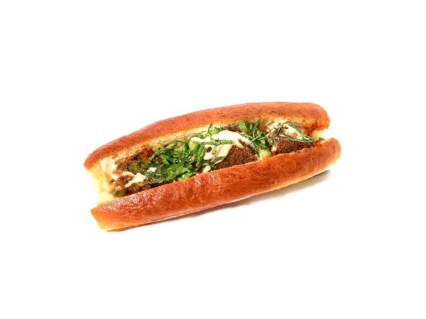Falafel Sandwich