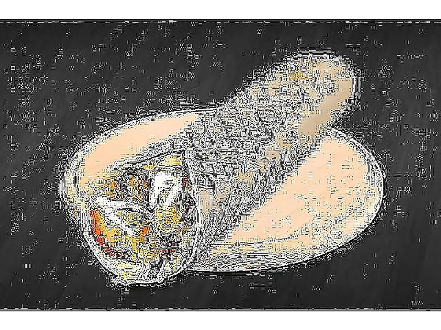 Squid Sandwich