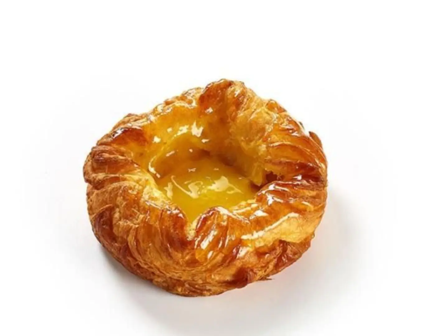 دانيش كاسترد