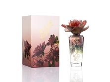 Banafsaj Night For Her French Perfume 100 Ml