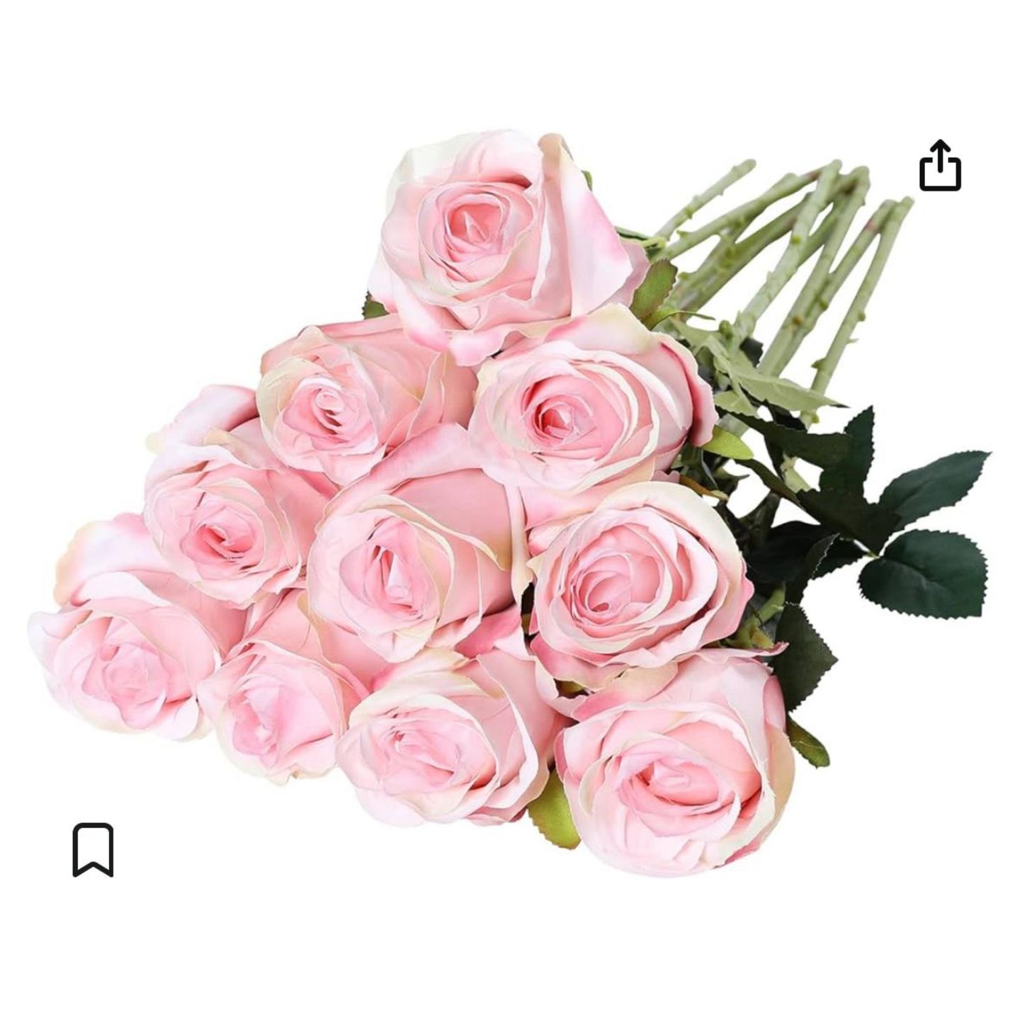 Light Pink Raw Natural Rose
