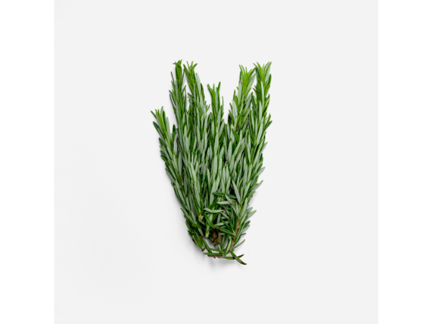Rosemary