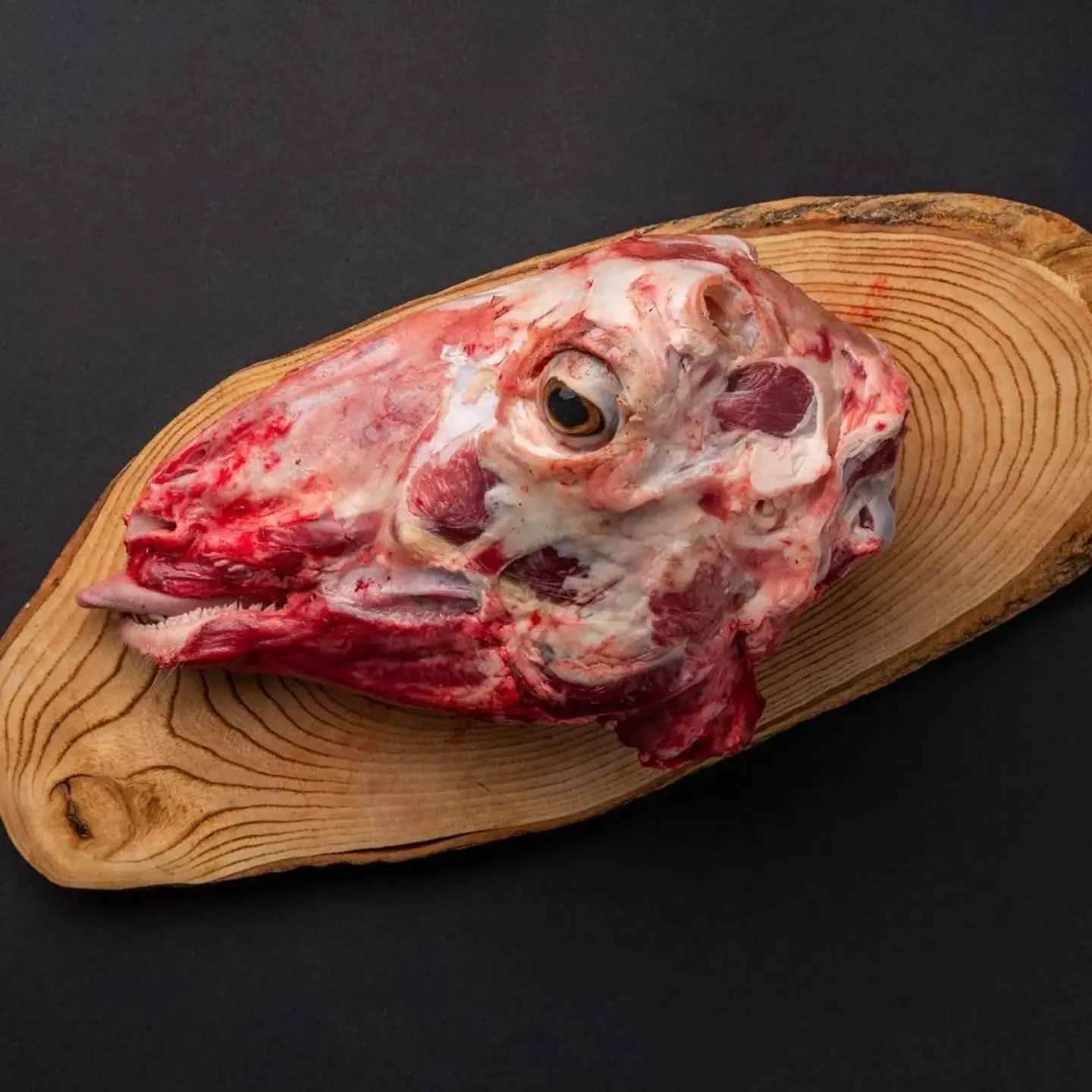 Lamb Head