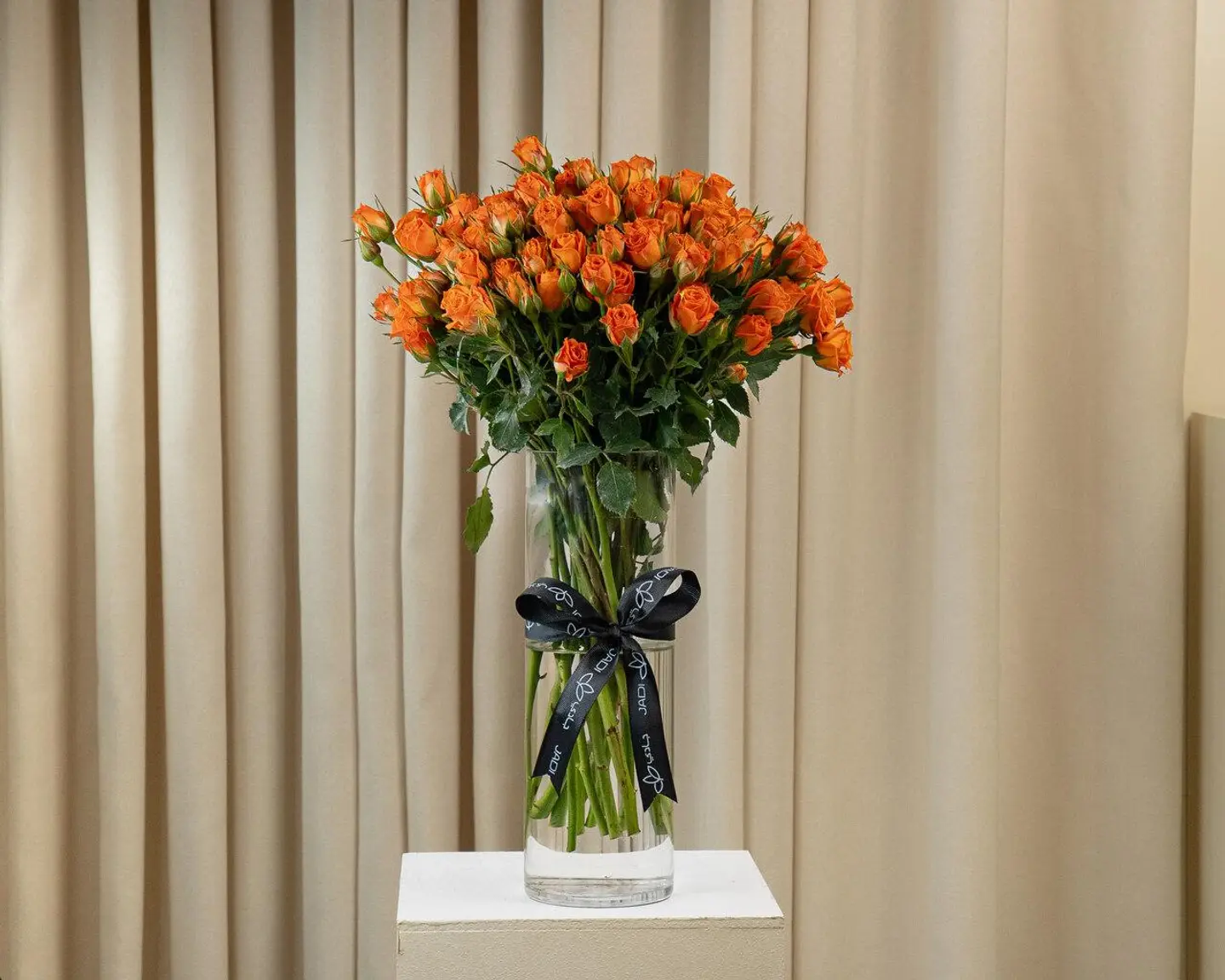 فازة كاترينا