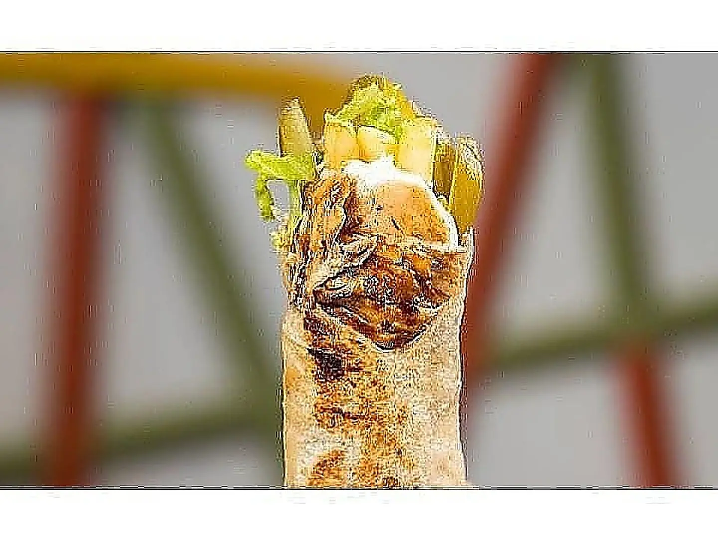 Shish Tawook Sandwich