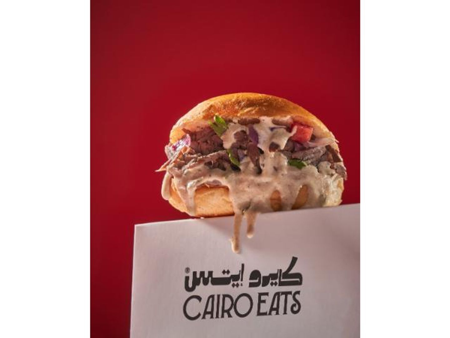 Shawerma Sandwich