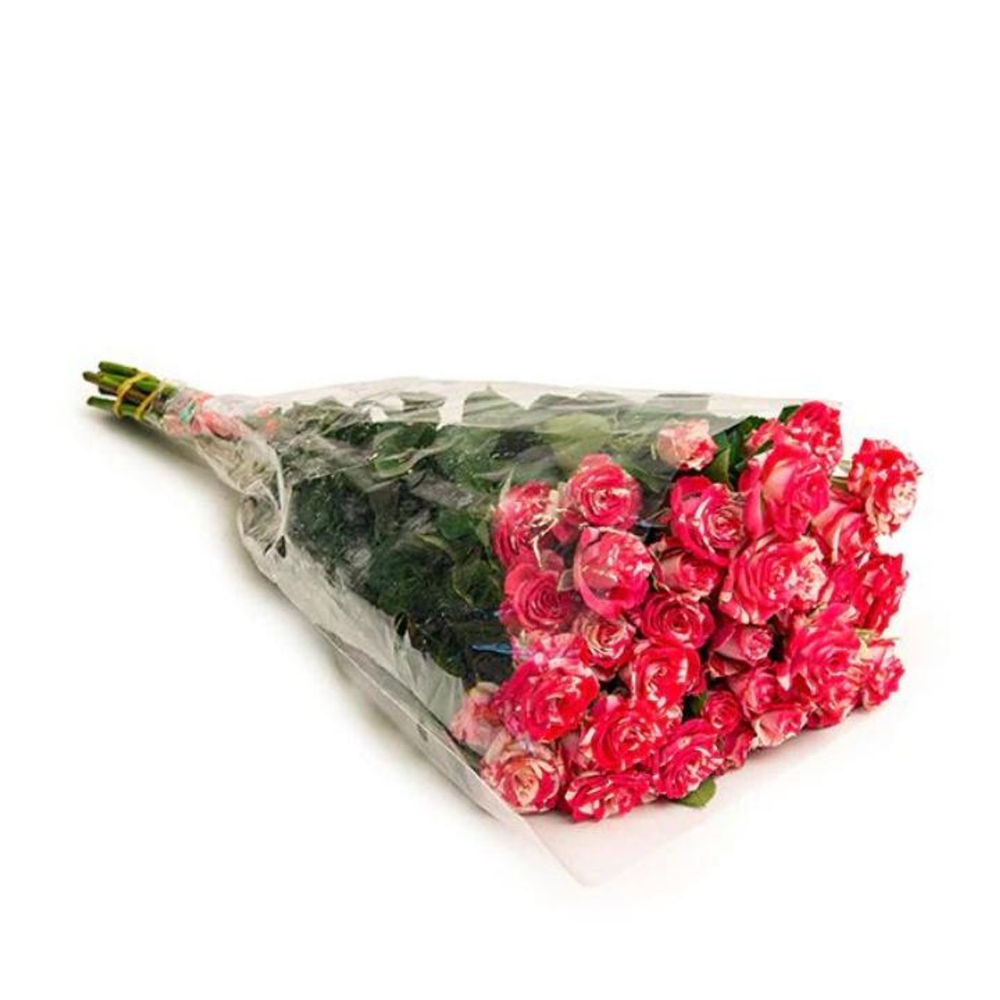 ورد بيبي جوري