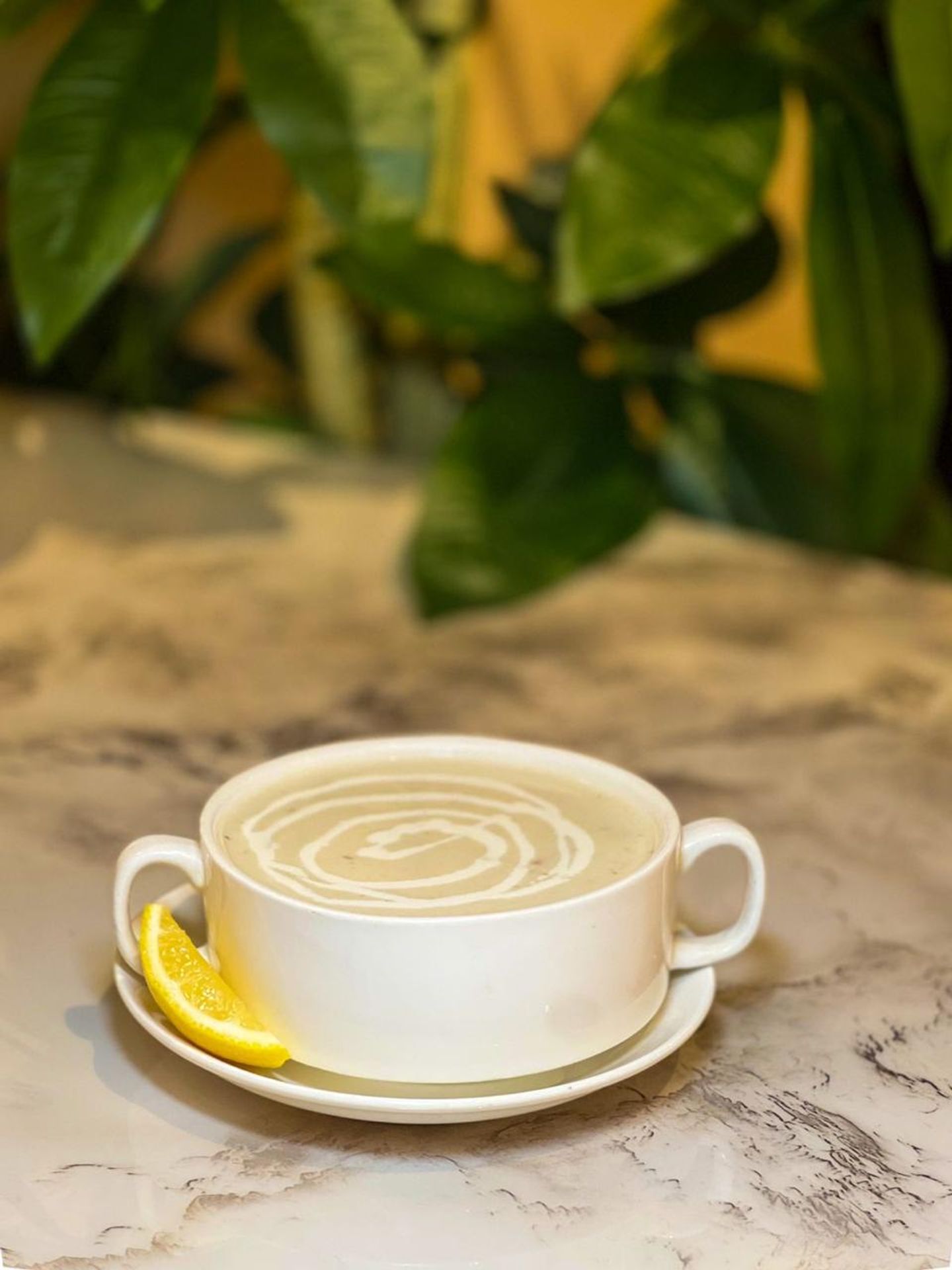 شوربة خضار