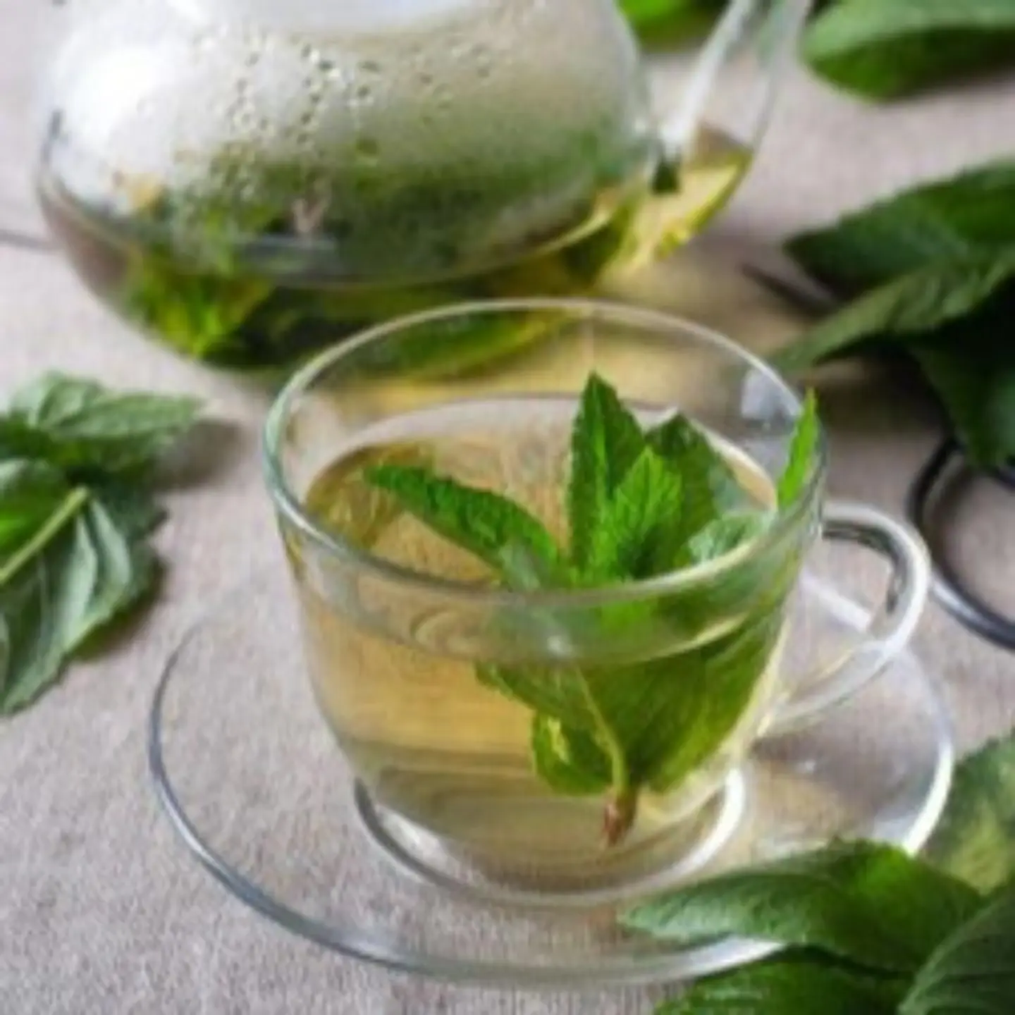 Mint Tea