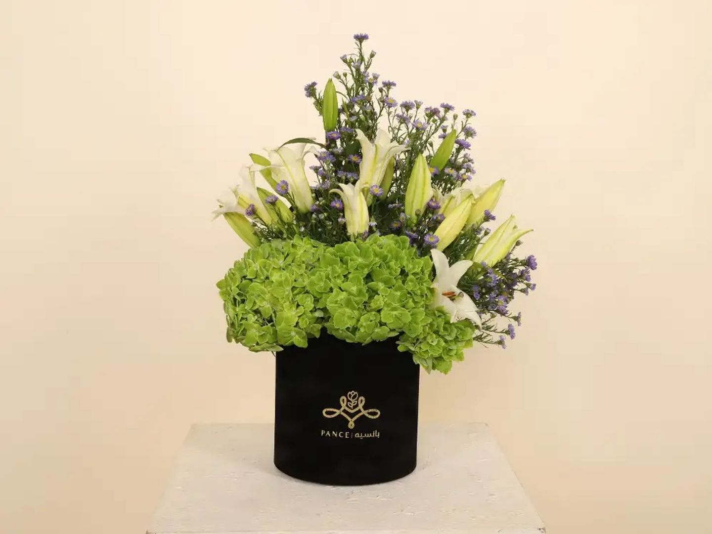 Pance Box Green