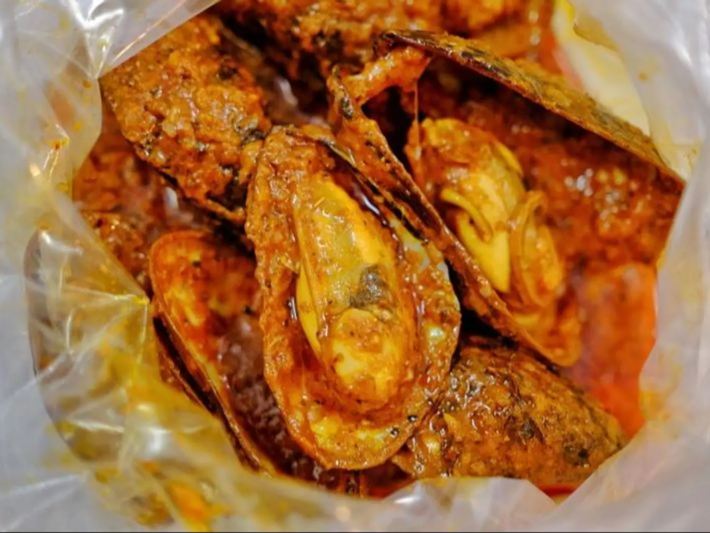 محار صغير 6 قطع