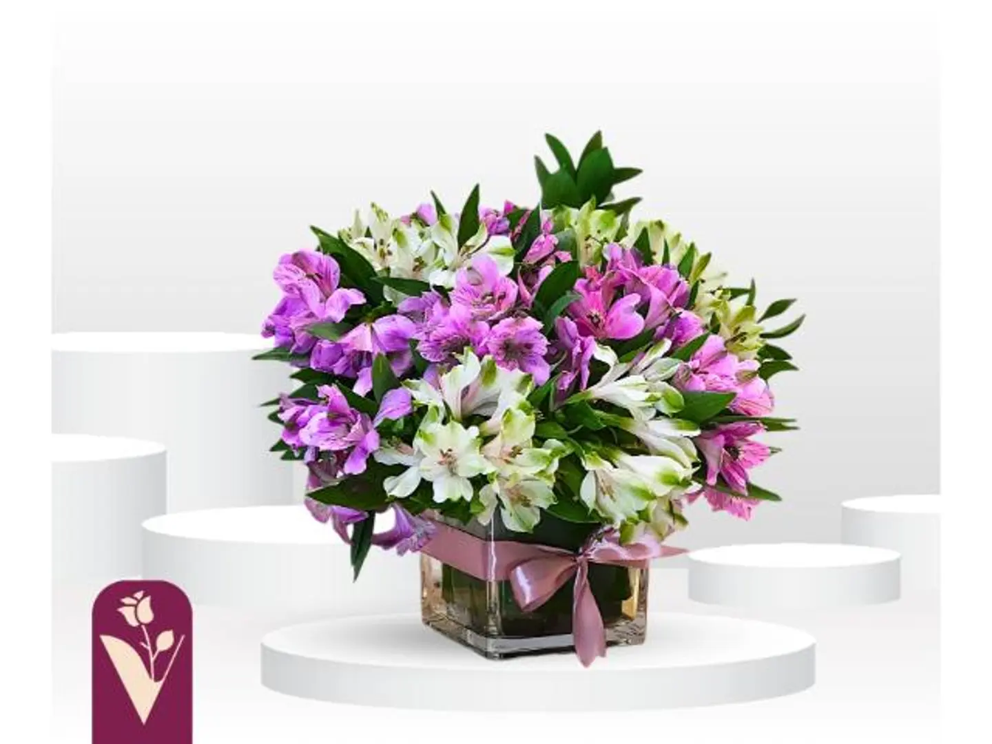 فازة أسترورينا