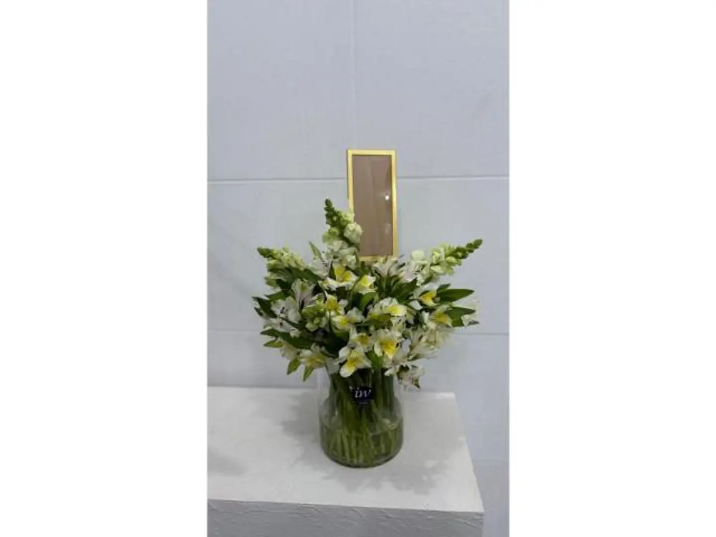 Alsitrumirya Vase
