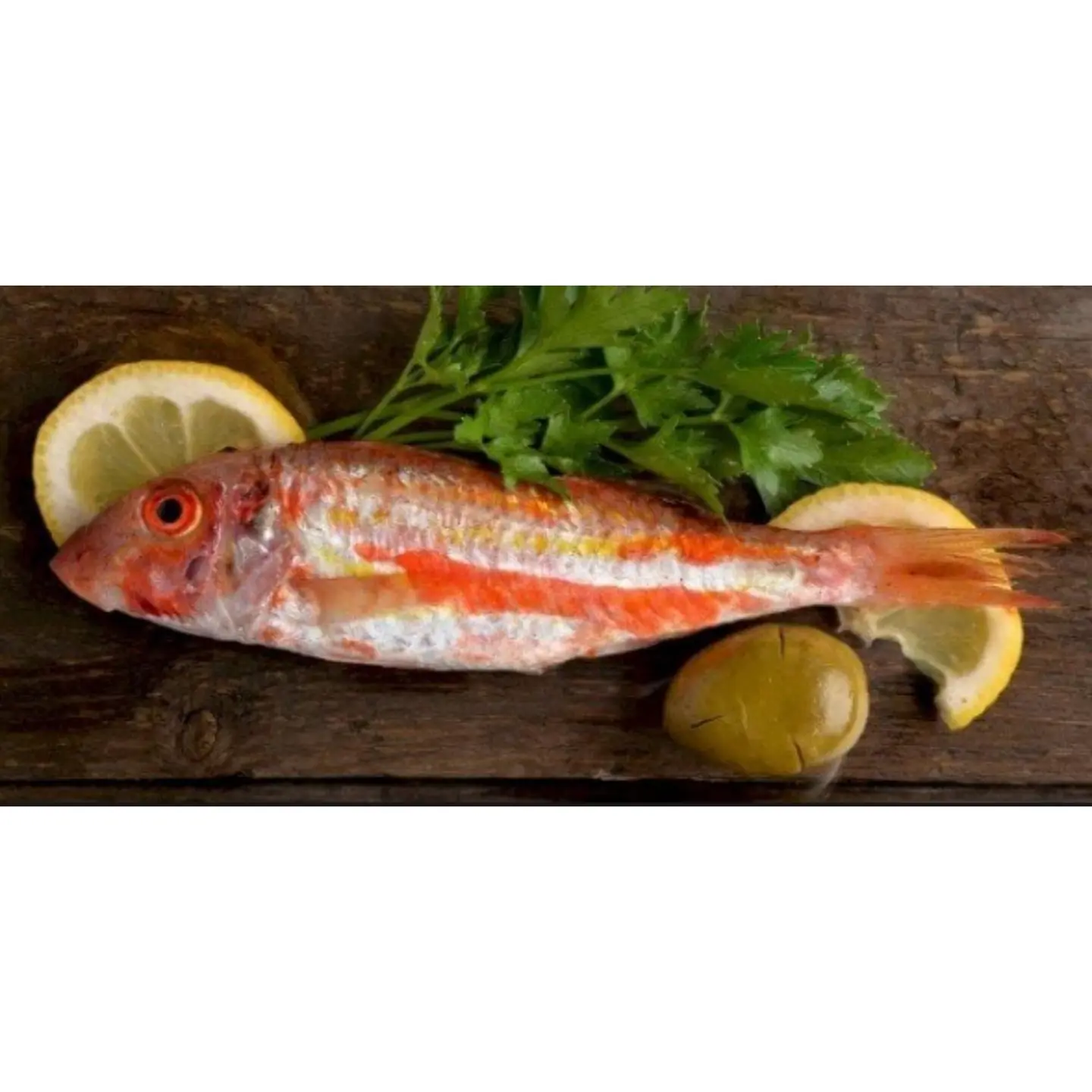 سمك السلطان ابراهيم