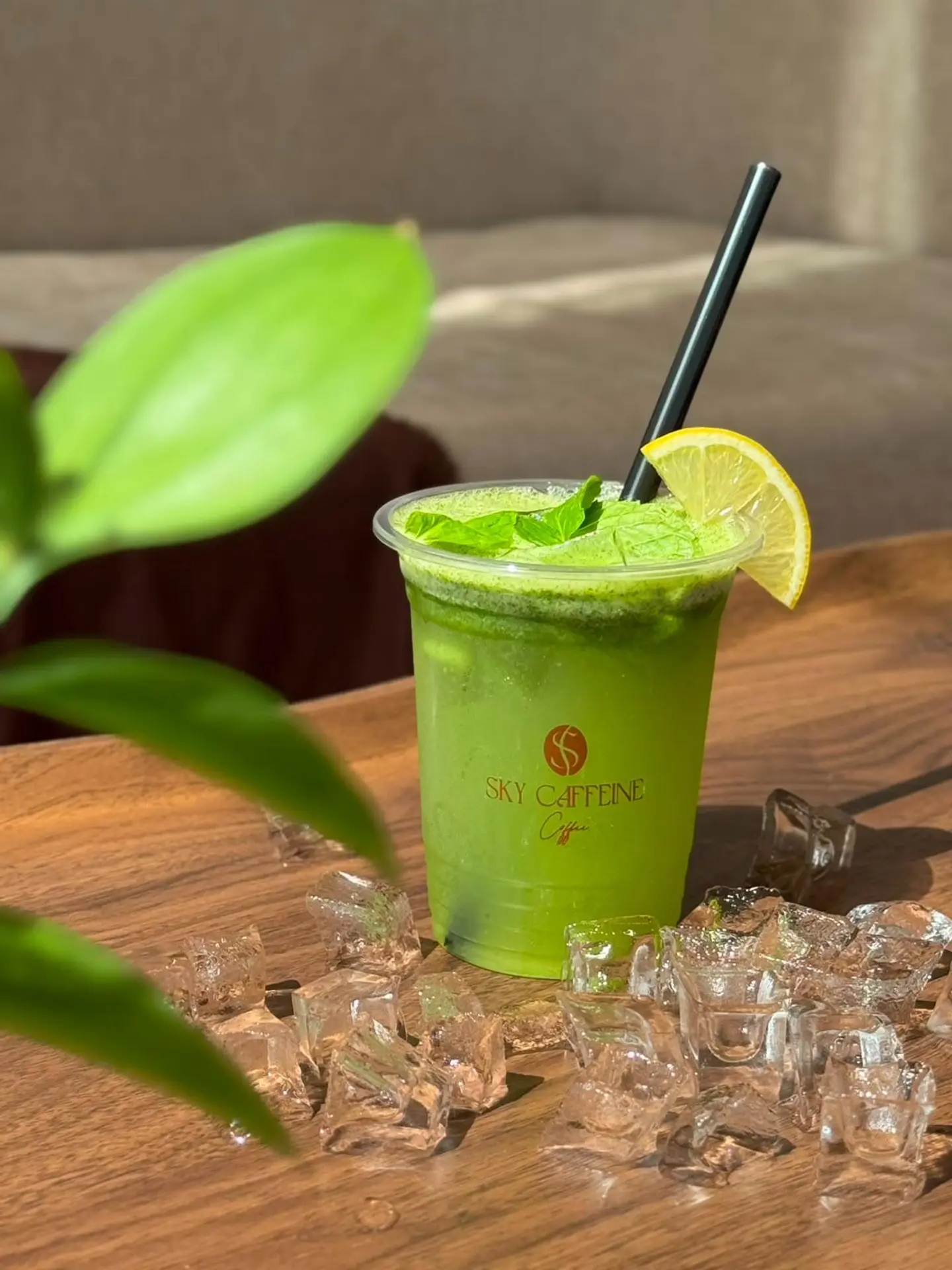 Iced Lemon With Mint