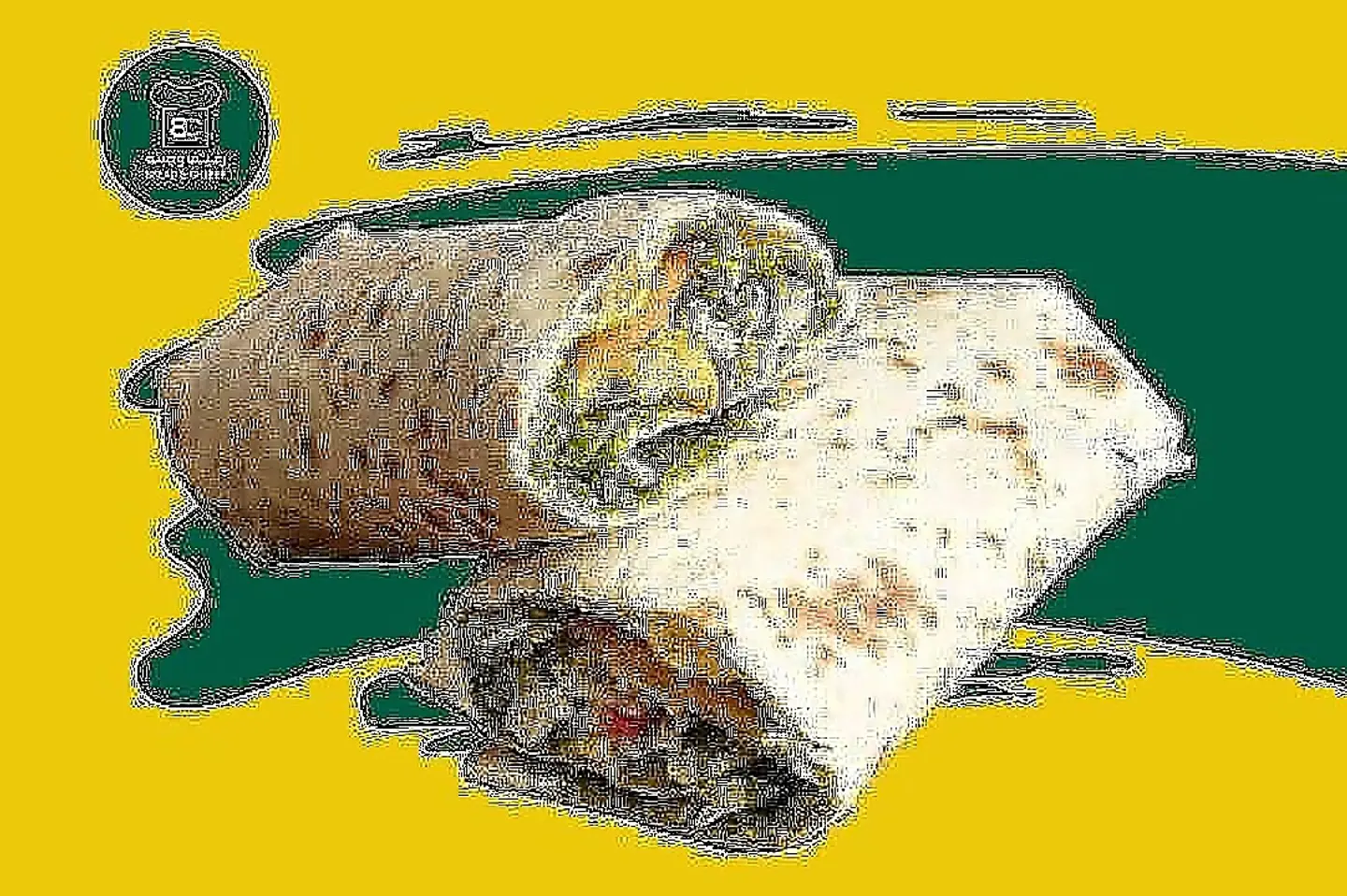 ساندوتش فلافل