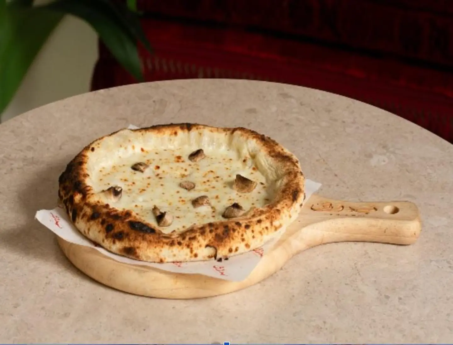 Travel Pizza