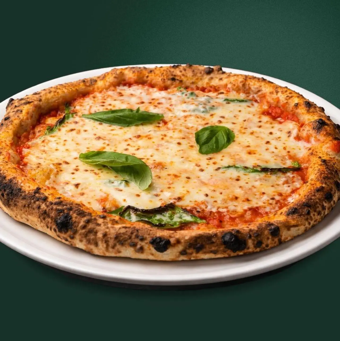 Margherita Large