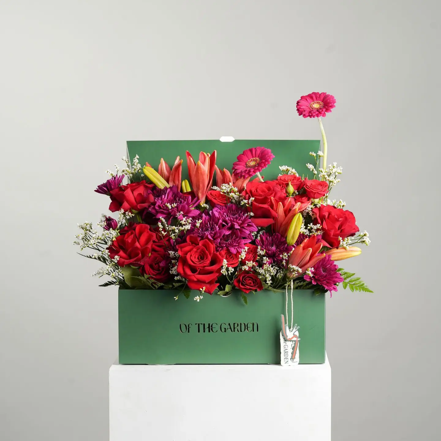 بوكس نبض الحب