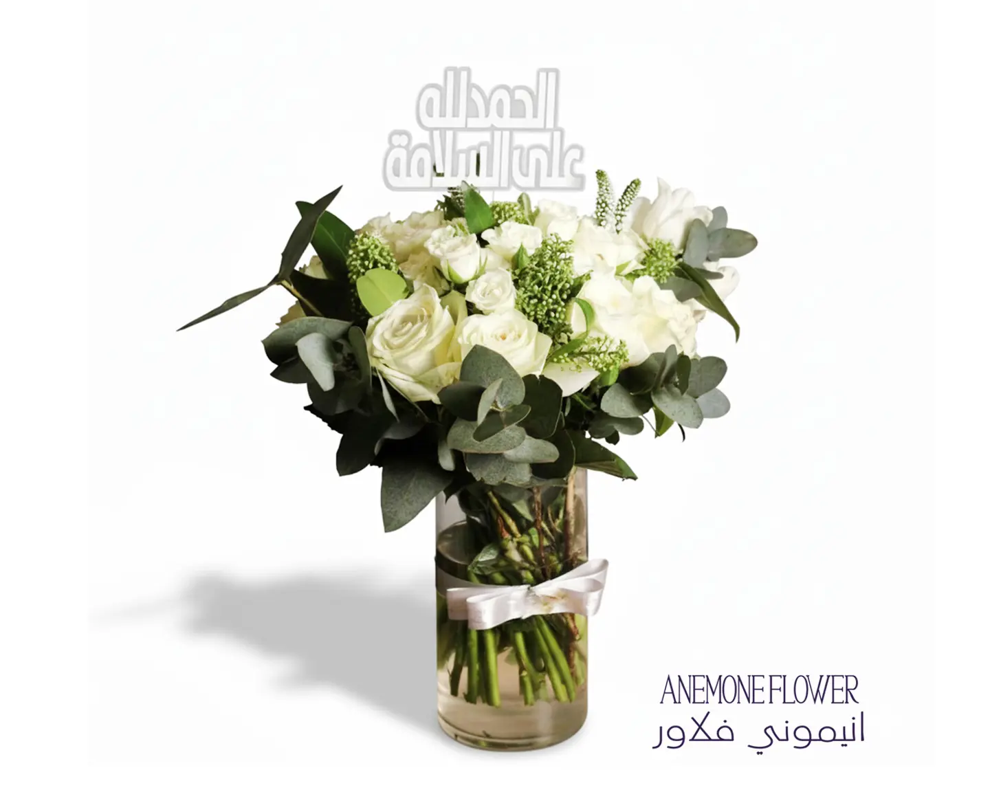 فازة الأماني البيضاء