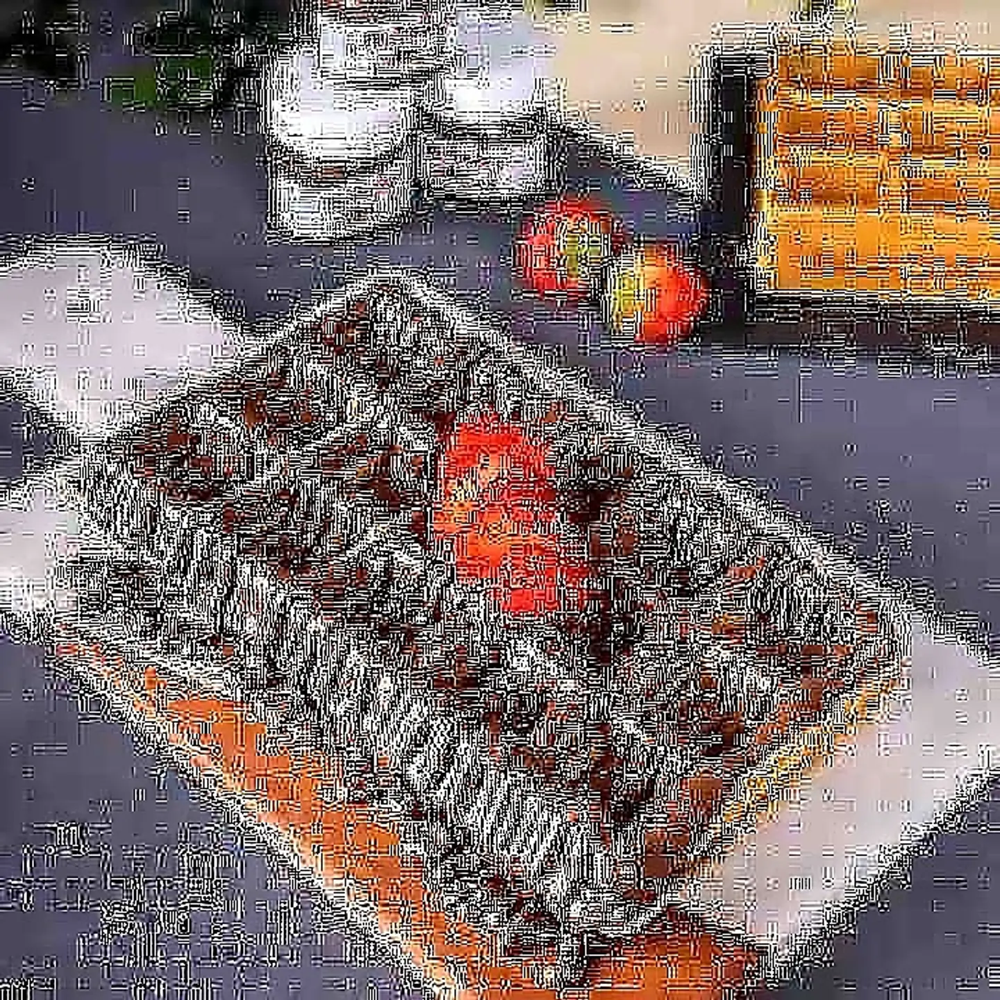 وافل مربع نوتيلا