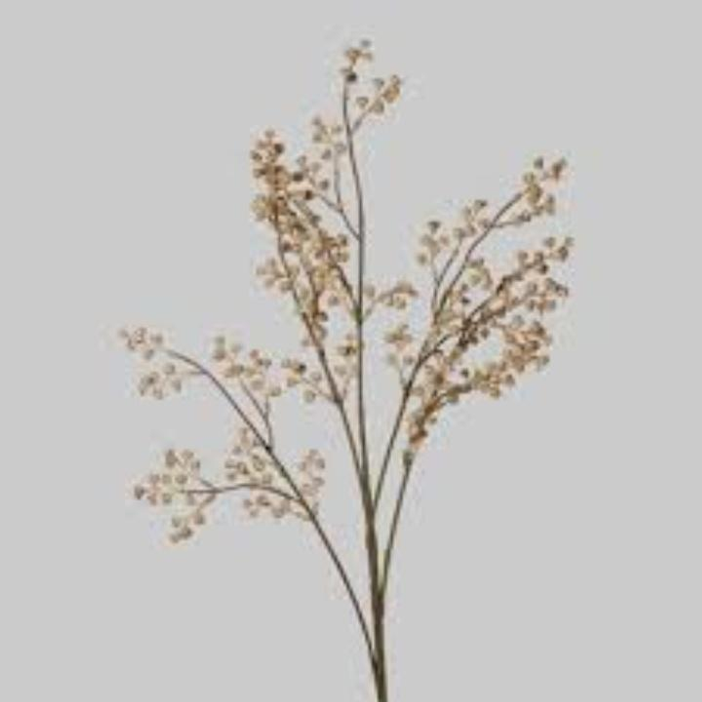 اكسسوار ورد