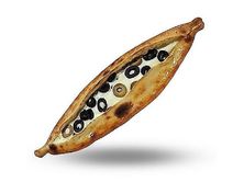 لبنه وزيتون