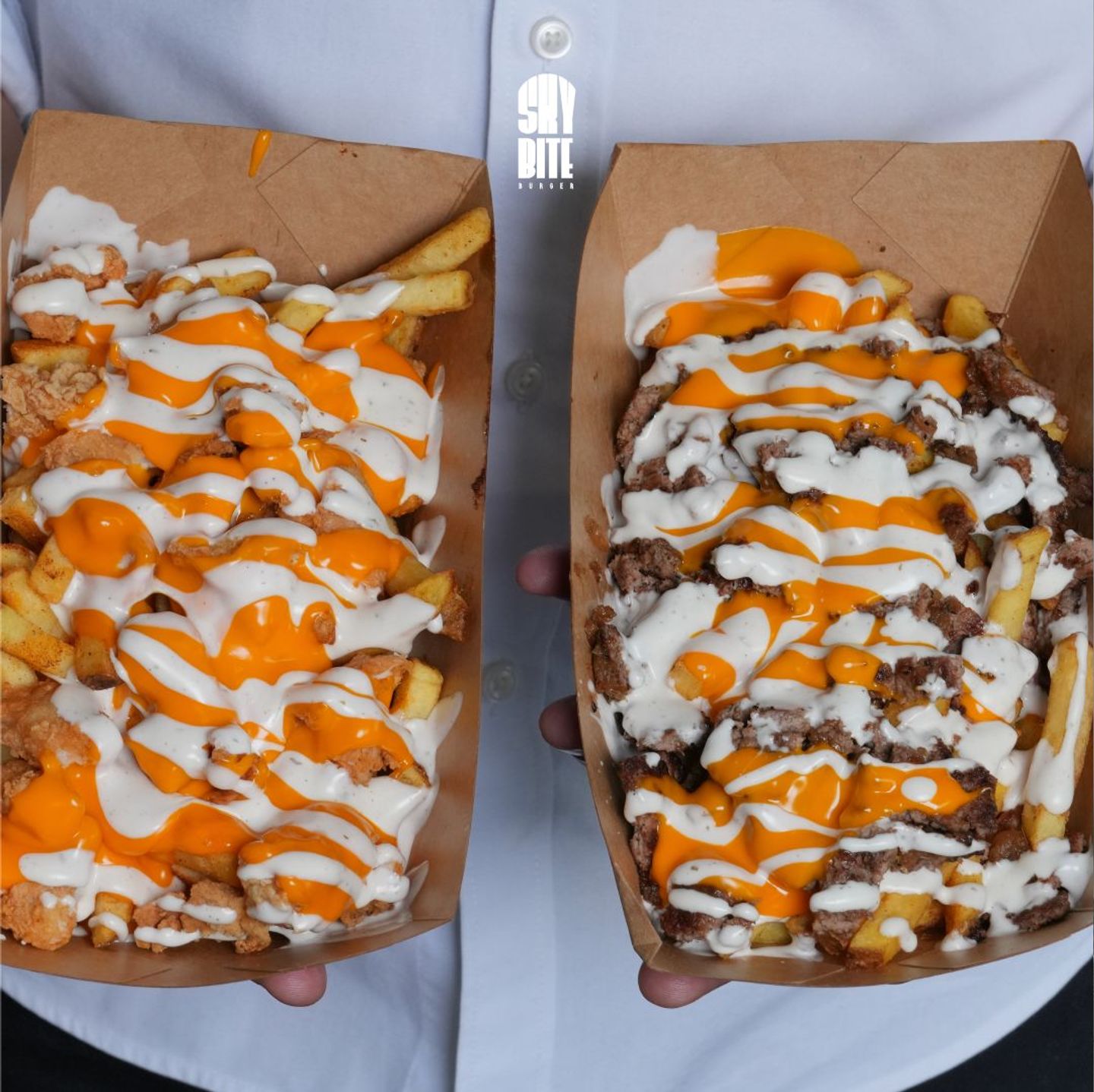 Especiall Chicken Fries