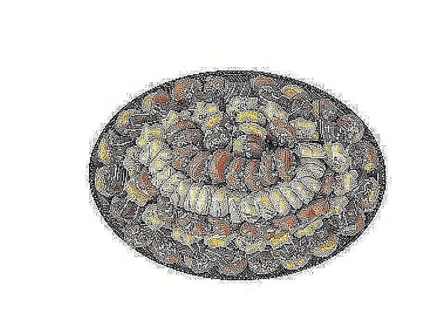 صحن بيتيفور