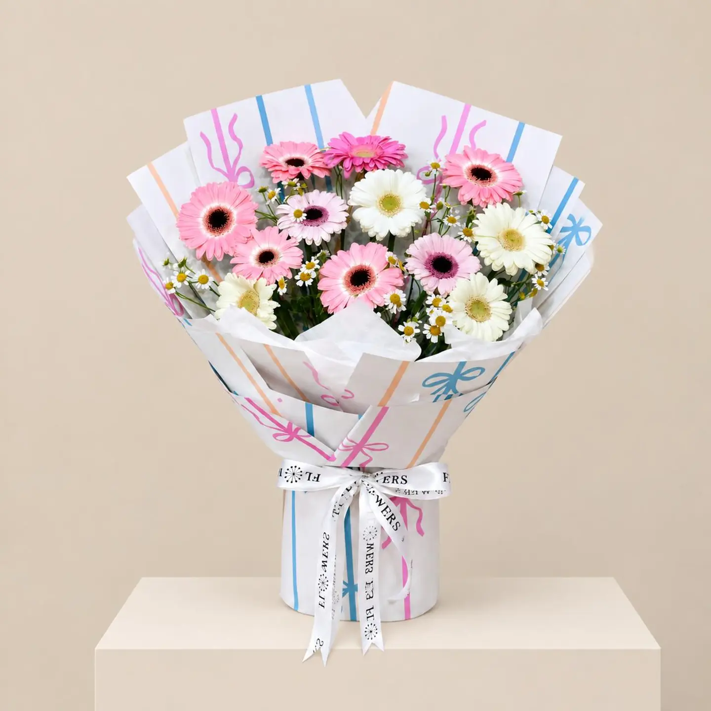 Gerbera Beauty