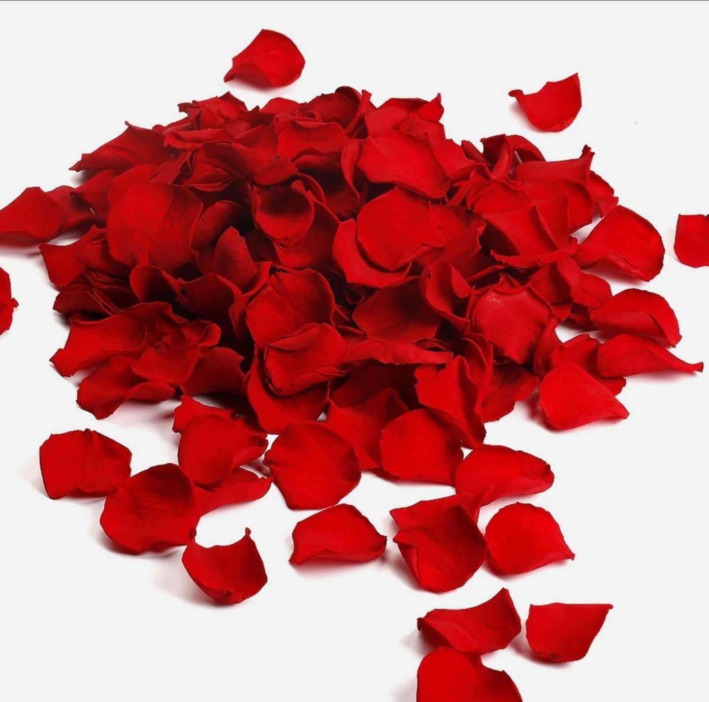 Rose Petals