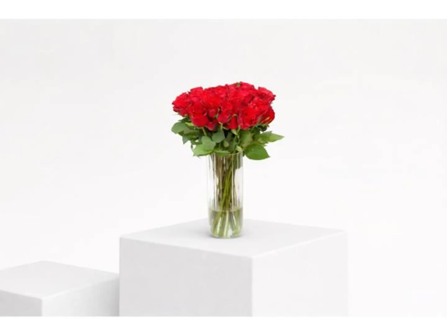 فازة ورد الجوري