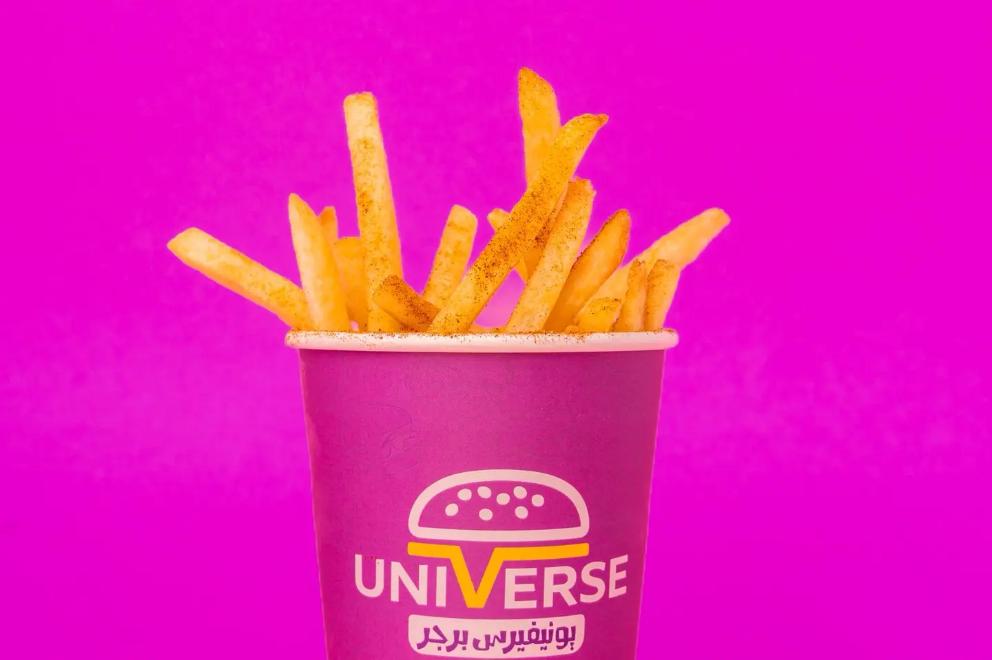 Seasoned Fries - Regular