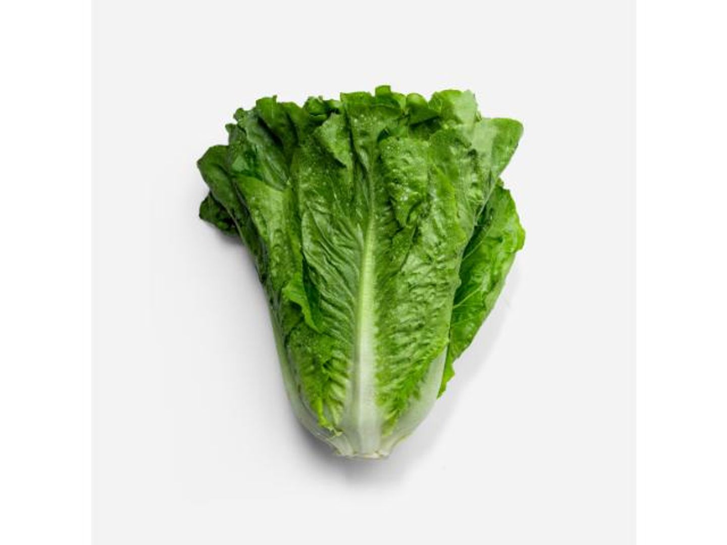 Romaine Lettuce   Local   Per Piece