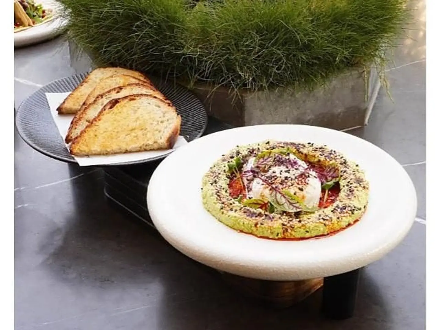 بيض بالهاريسا