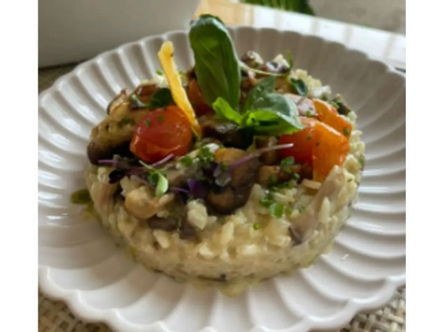 Truffle Fungi Risotto