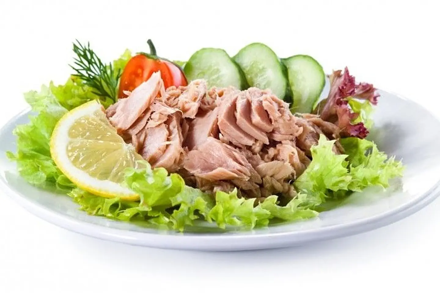 Regular Tuna Plate