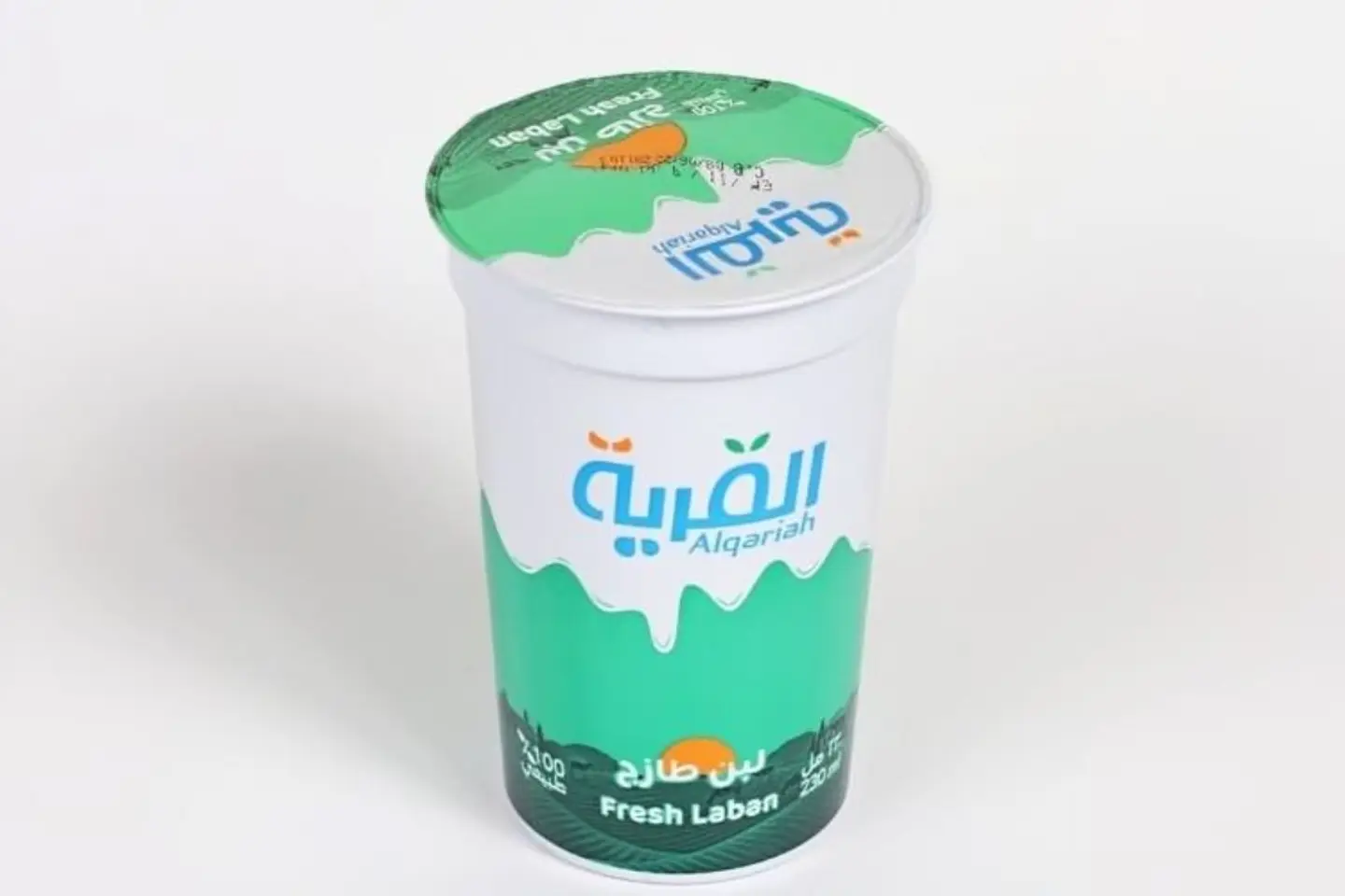 Village Yogurt