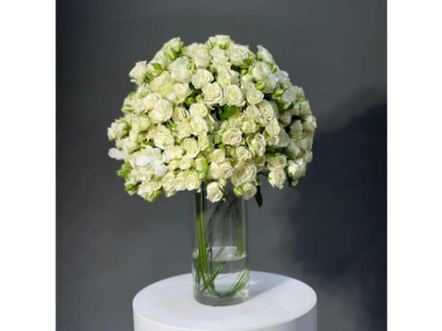 Symphony Of The White Rose