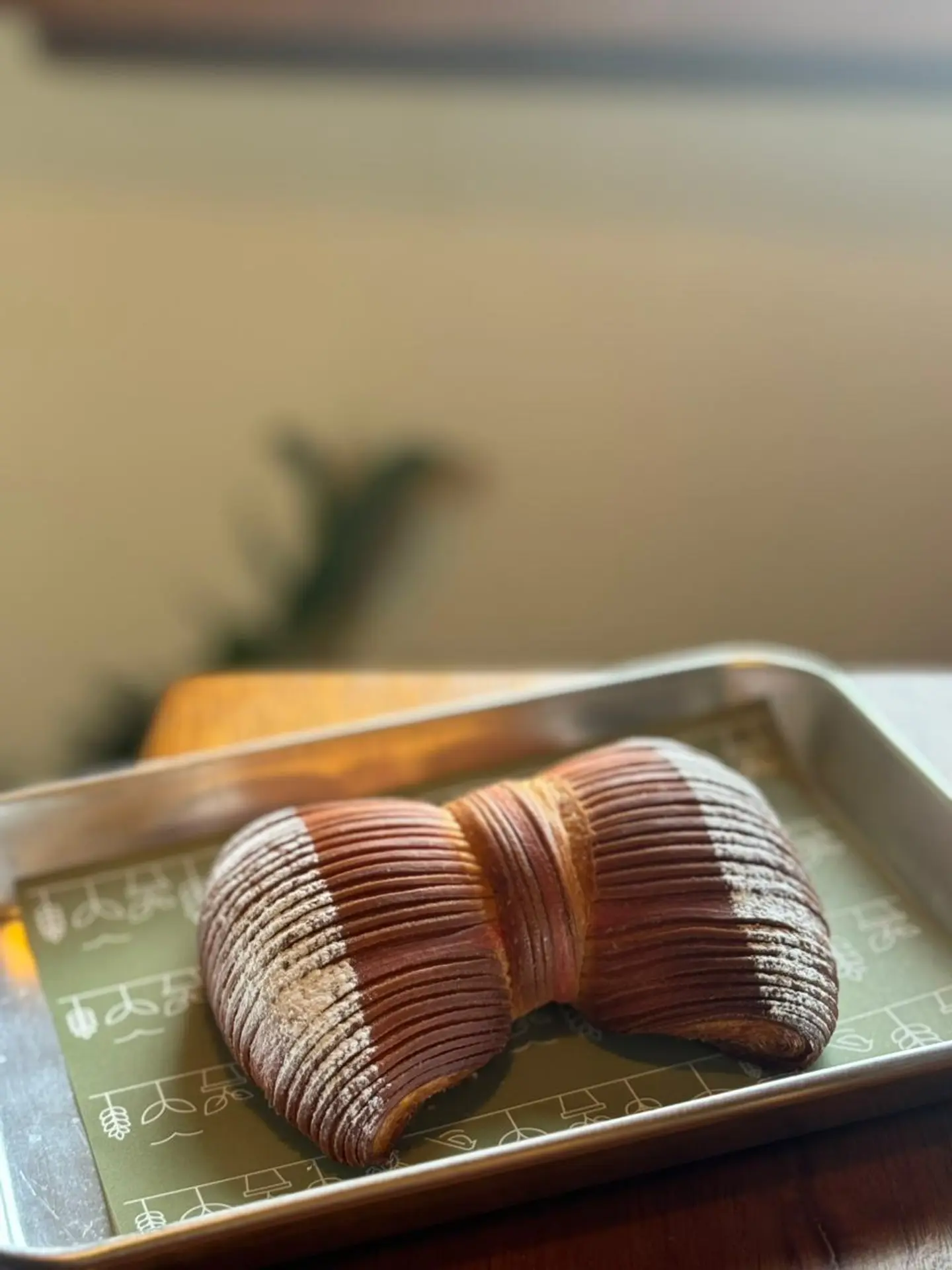 فيونكه تشيز توت