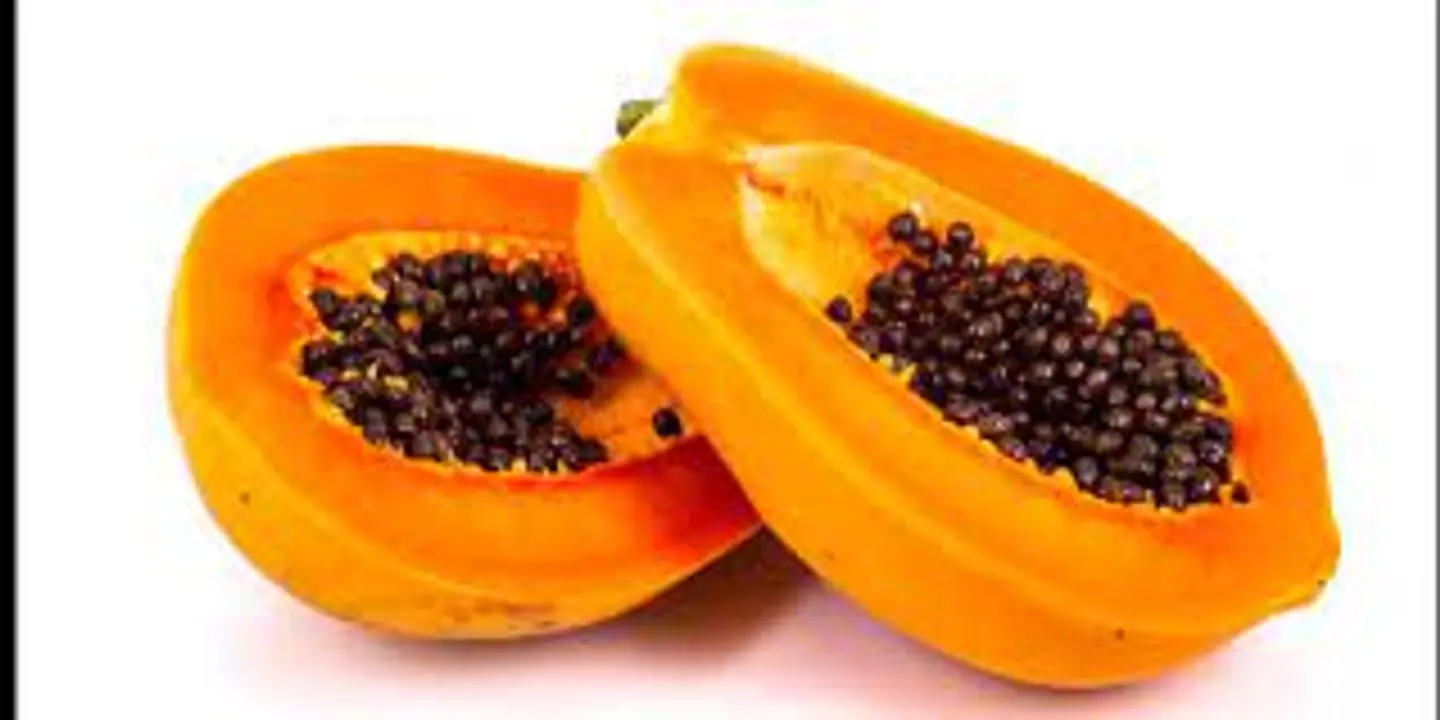 بابايا حبة