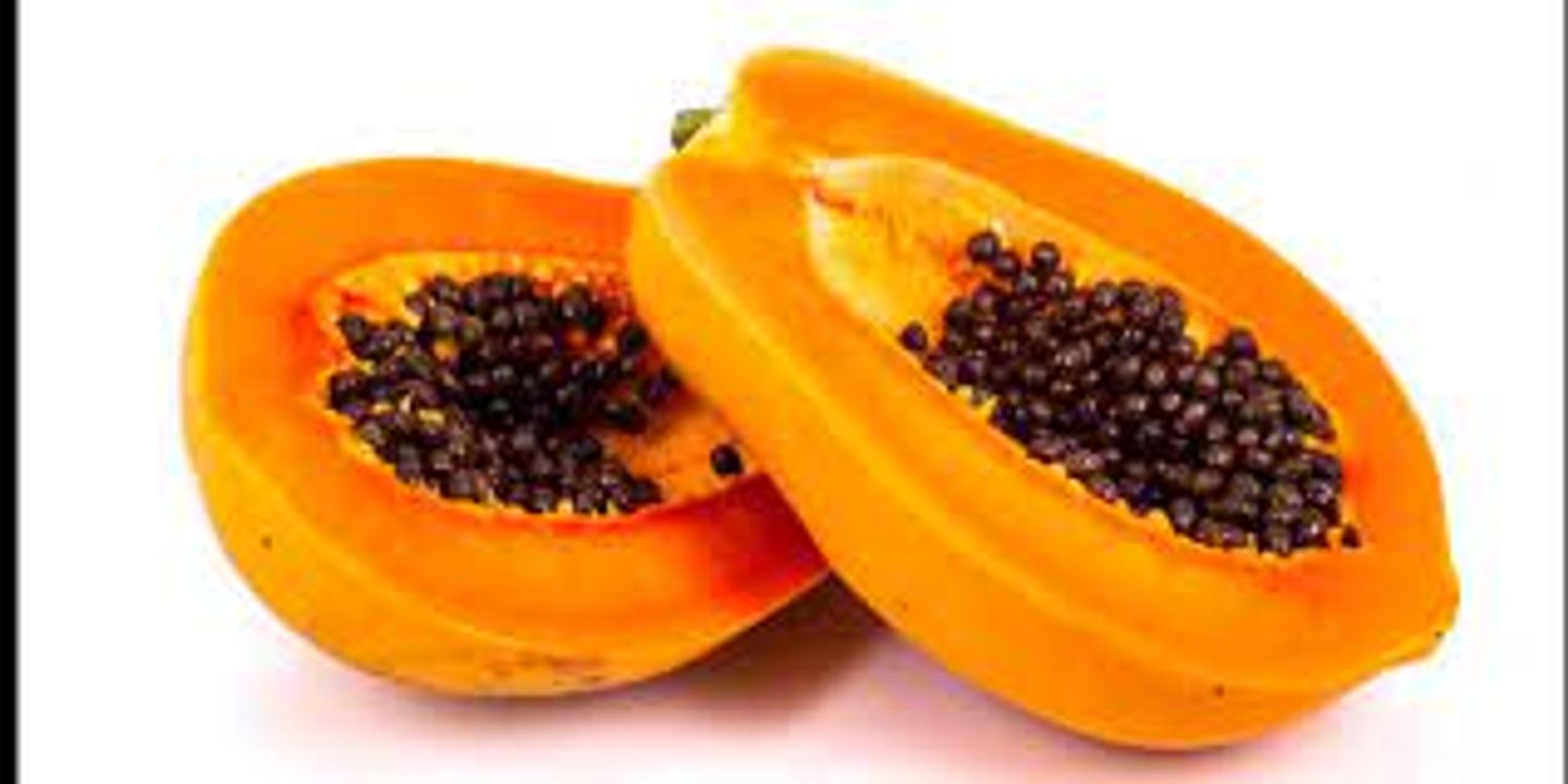 بابايا حبة