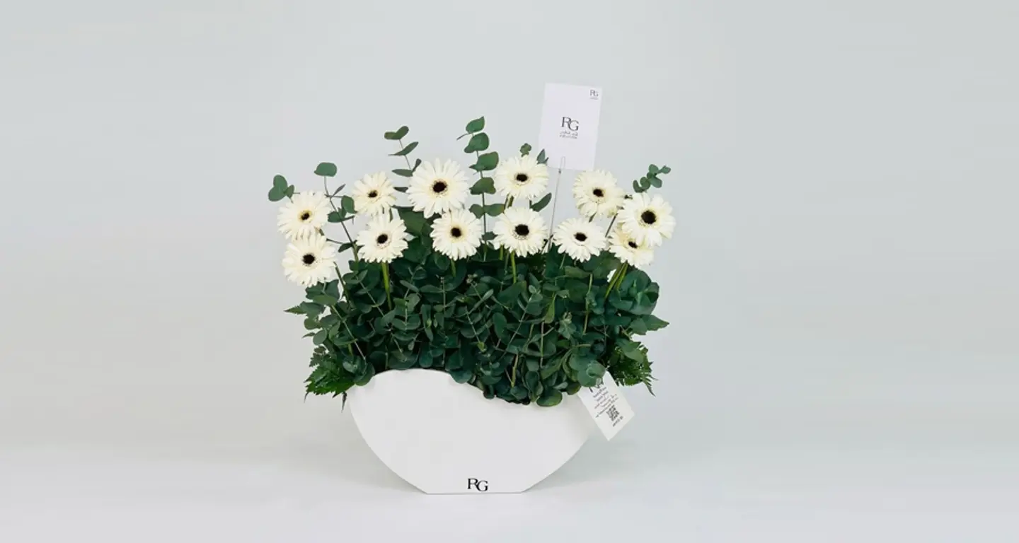 بوكس ورد رقم.١٢٥٣٠