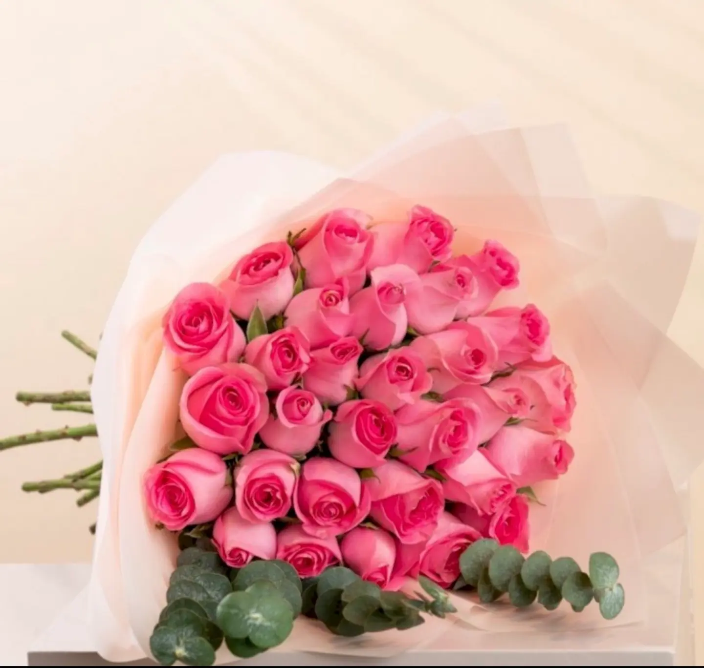 باقة بينك 30