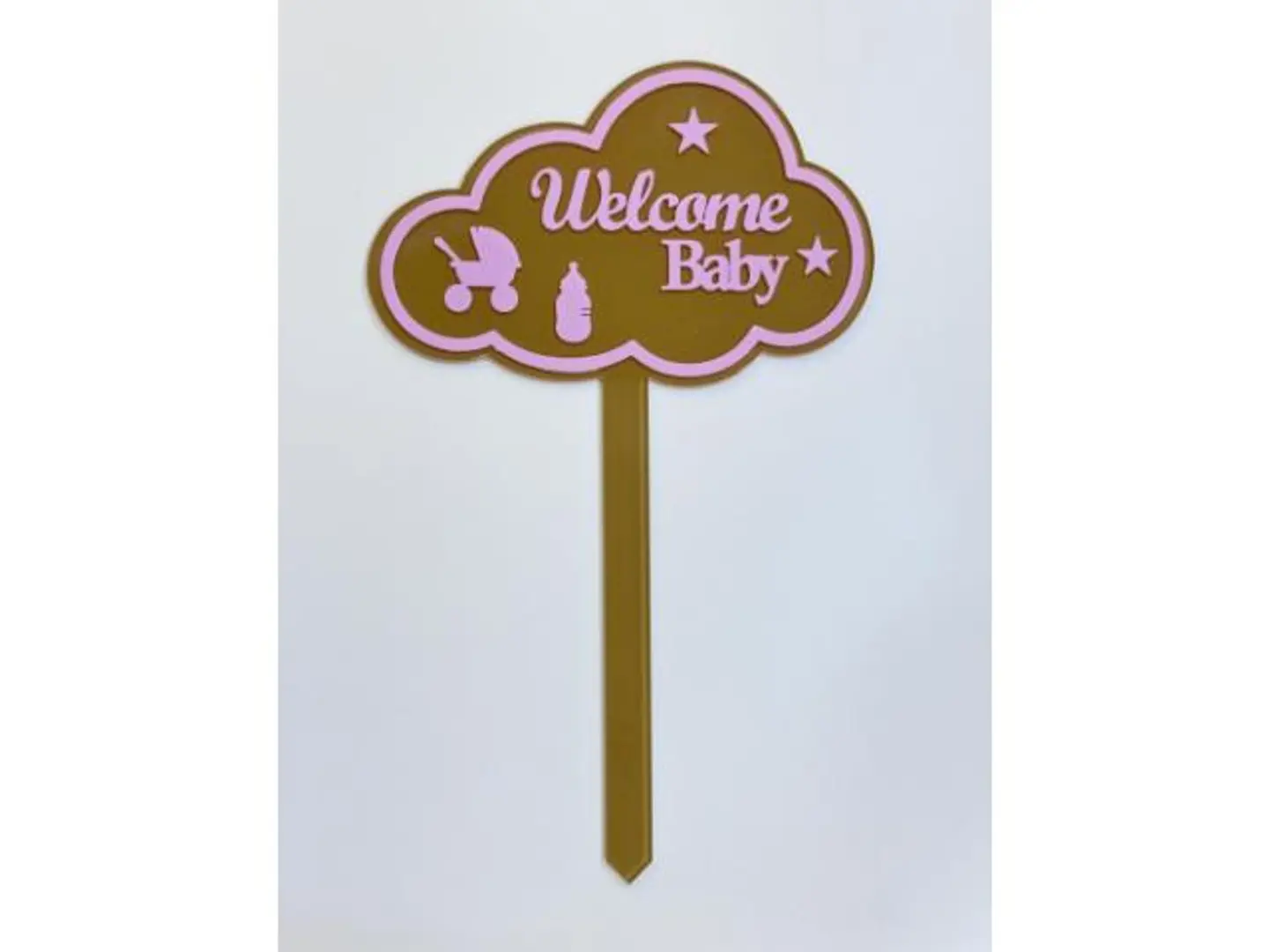 New Baby Girl Plant Arrangement 2