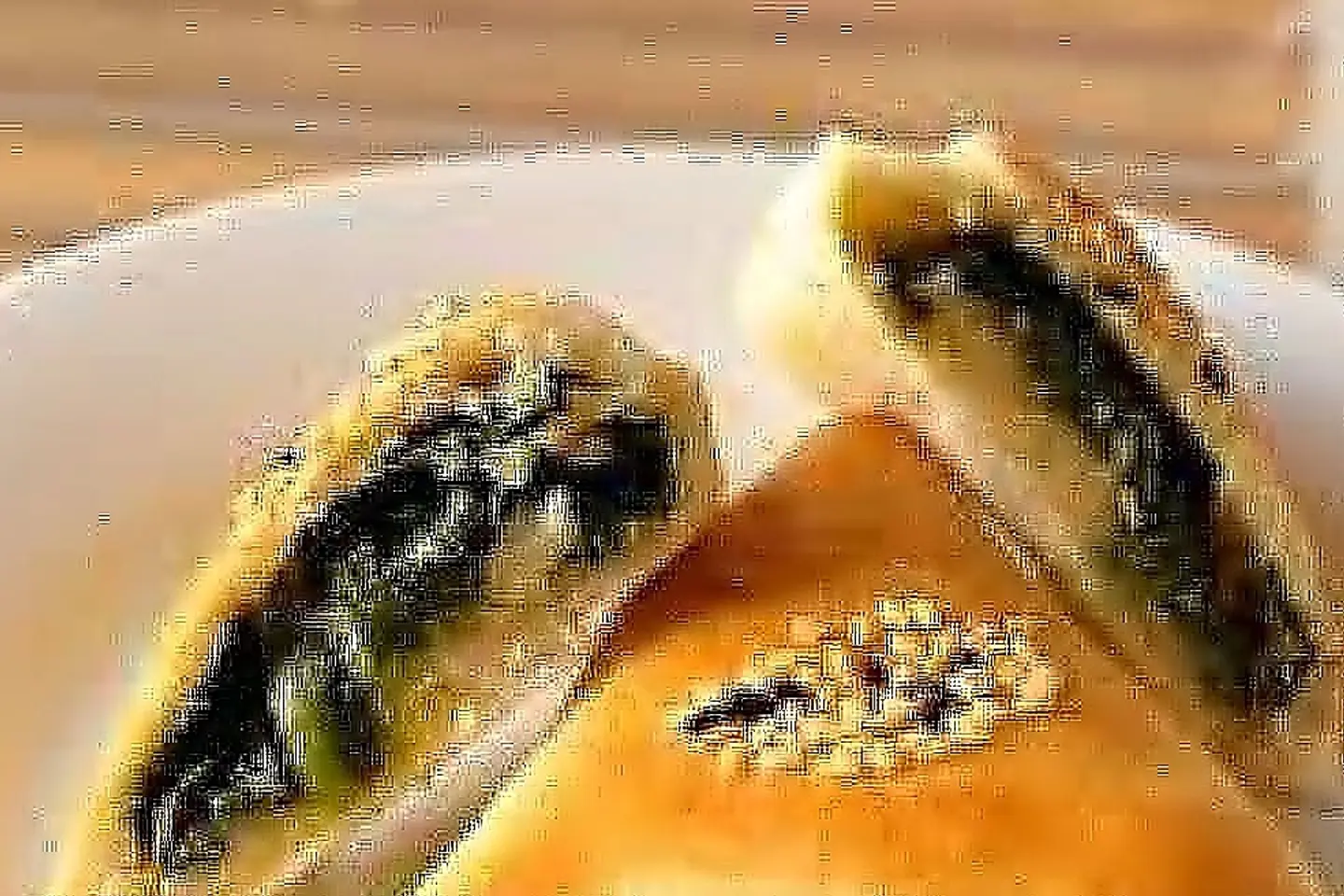 Sbanech Pie