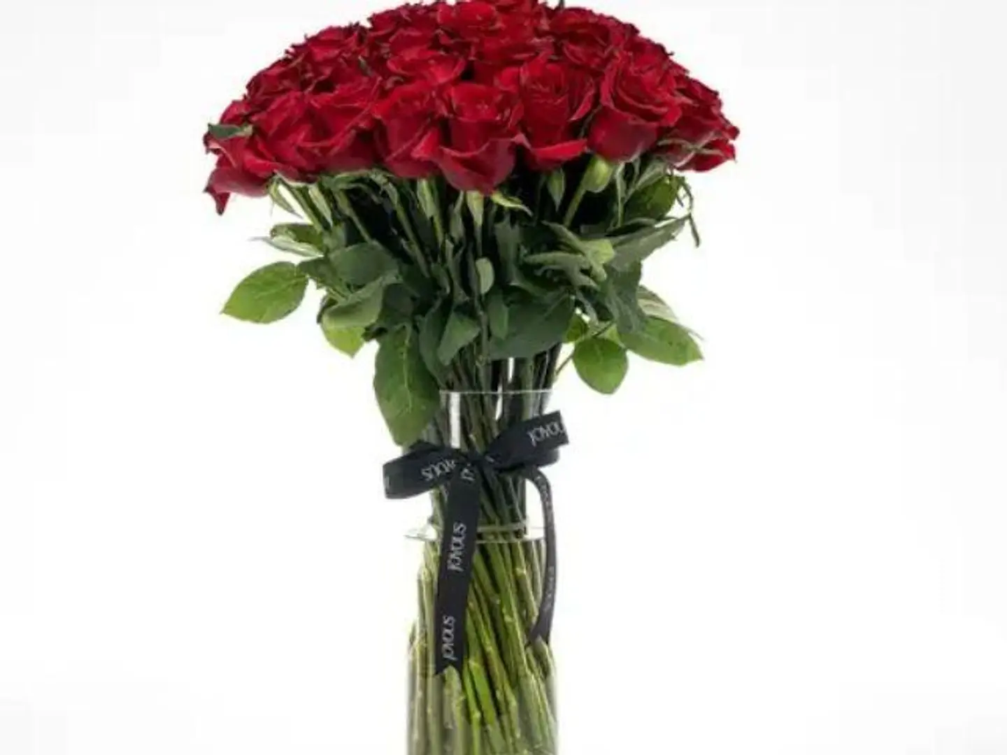 A Vase Of Peace Upon Those Who Passed Through Our Bitterness And Sweetened It