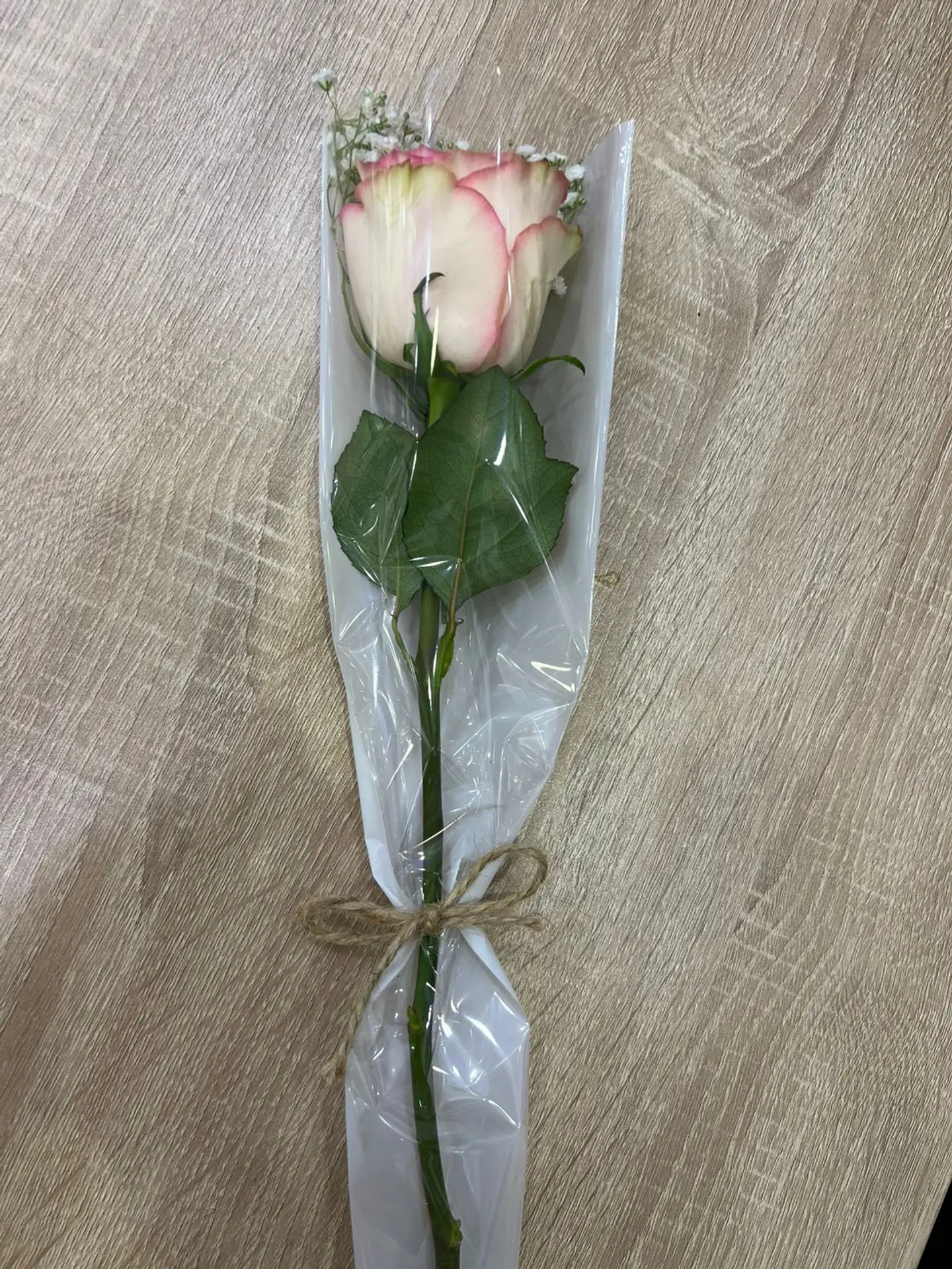Pink Rose